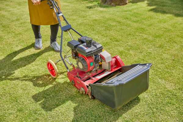 Cuándo recebar el césped en el jardín